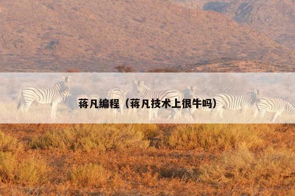 蒋凡编程（蒋凡技术上很牛吗）