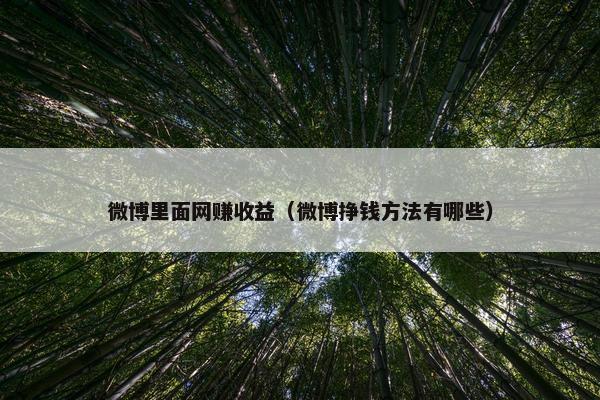 微博里面网赚收益（微博挣钱方法有哪些）