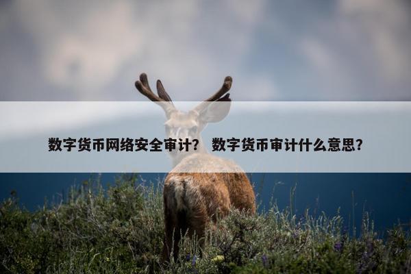 数字货币网络安全审计？ 数字货币审计什么意思？