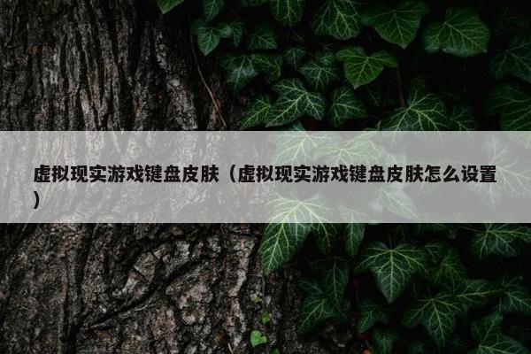 虚拟现实游戏键盘皮肤（虚拟现实游戏键盘皮肤怎么设置）
