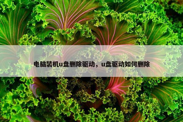 电脑装机u盘删除驱动，u盘驱动如何删除