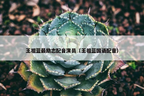 王祖蓝最励志配音演员（王祖蓝国语配音）
