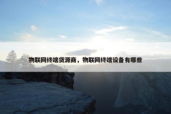 物联网终端货源商，物联网终端设备有哪些