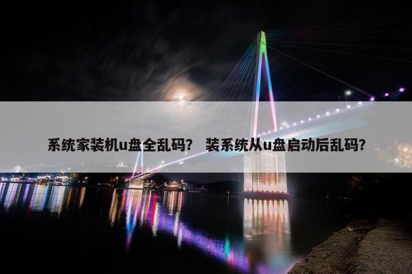 系统家装机u盘全乱码？ 装系统从u盘启动后乱码？