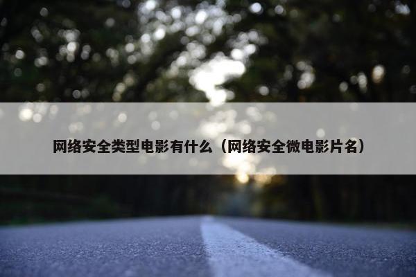 网络安全类型电影有什么（网络安全微电影片名）