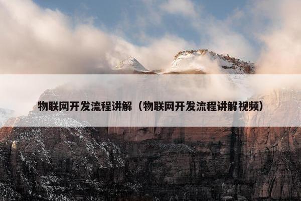 物联网开发流程讲解（物联网开发流程讲解视频）