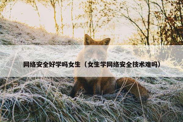 网络安全好学吗女生（女生学网络安全技术难吗）