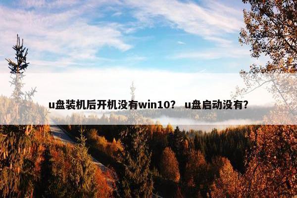 u盘装机后开机没有win10？ u盘启动没有？