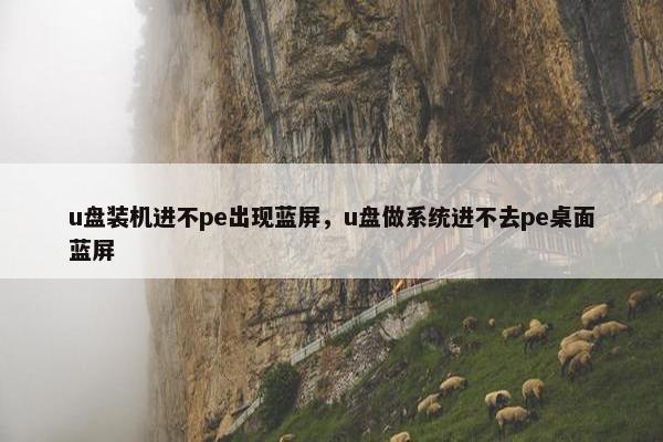 u盘装机进不pe出现蓝屏，u盘做系统进不去pe桌面蓝屏