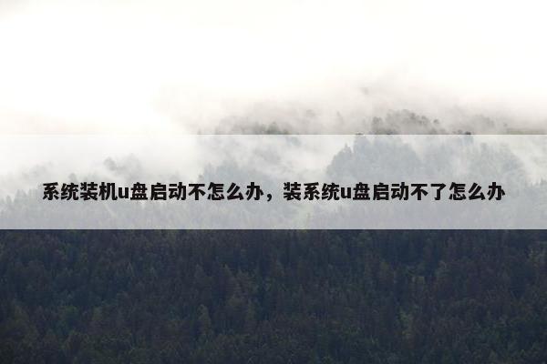 系统装机u盘启动不怎么办，装系统u盘启动不了怎么办