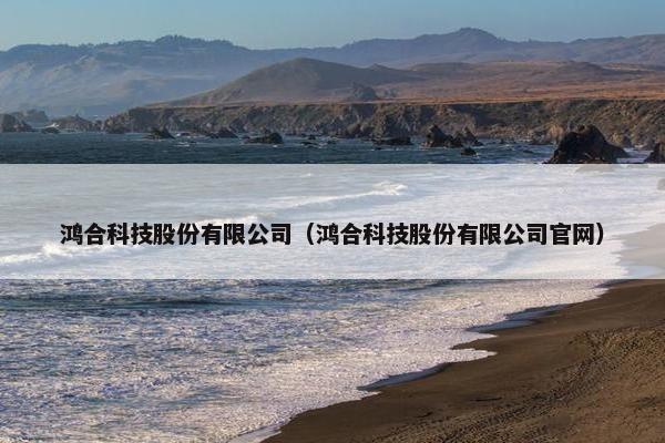 鸿合科技股份有限公司（鸿合科技股份有限公司官网）