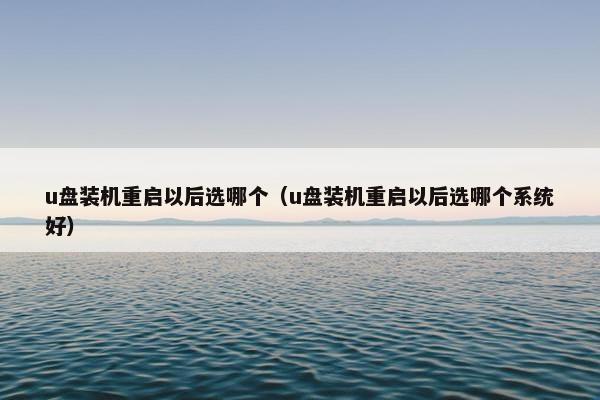 u盘装机重启以后选哪个（u盘装机重启以后选哪个系统好）