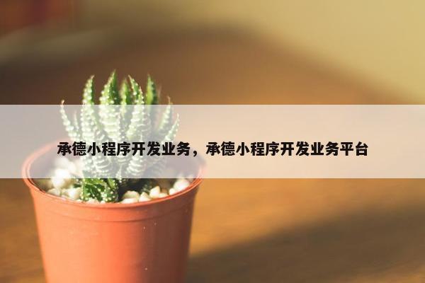 承德小程序开发业务，承德小程序开发业务平台