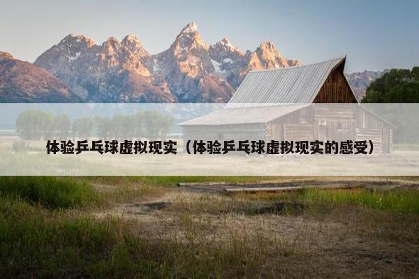 体验乒乓球虚拟现实（体验乒乓球虚拟现实的感受）