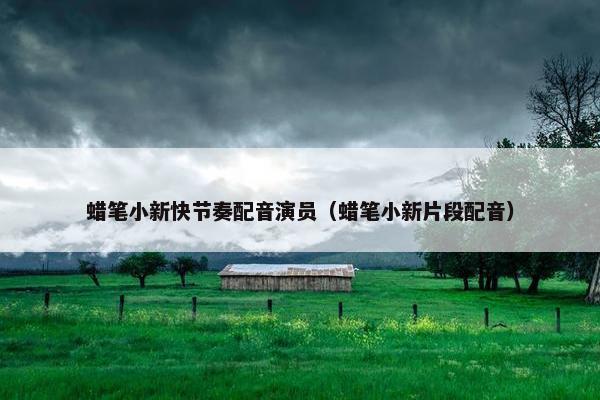 蜡笔小新快节奏配音演员（蜡笔小新片段配音）