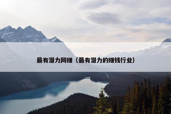 最有潜力网赚（最有潜力的赚钱行业）