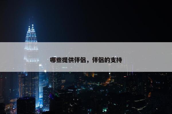 哪些提供伴侣，伴侣的支持