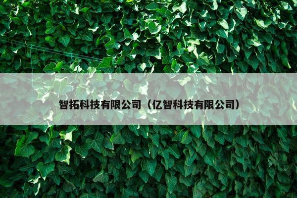 智拓科技有限公司（亿智科技有限公司）