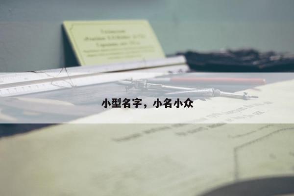小型名字，小名小众