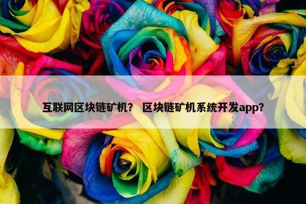 互联网区块链矿机？ 区块链矿机系统开发app？