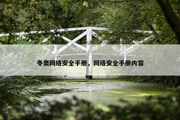 冬奥网络安全手册，网络安全手册内容
