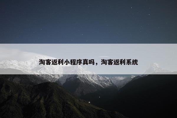 淘客返利小程序真吗，淘客返利系统