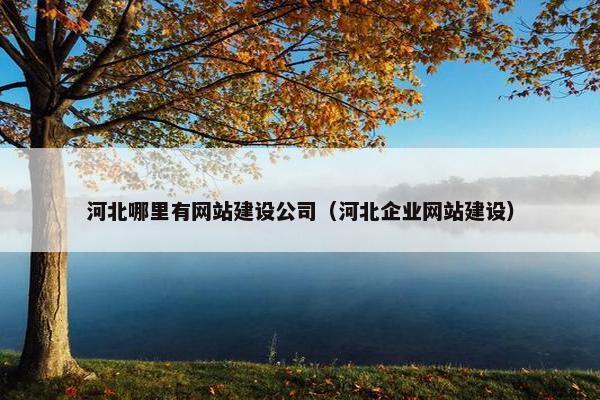 河北哪里有网站建设公司（河北企业网站建设）