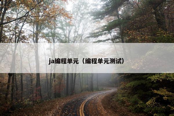 ja编程单元（编程单元测试）