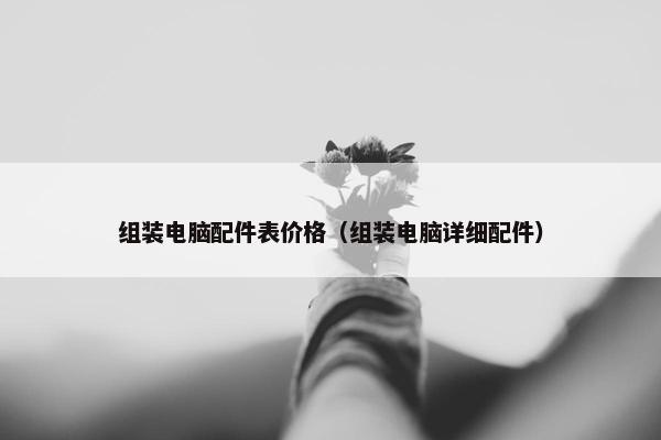 组装电脑配件表价格（组装电脑详细配件）