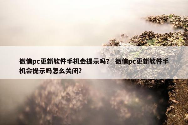 微信pc更新软件手机会提示吗？ 微信pc更新软件手机会提示吗怎么关闭？