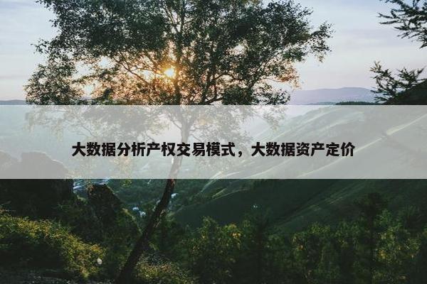 大数据分析产权交易模式，大数据资产定价
