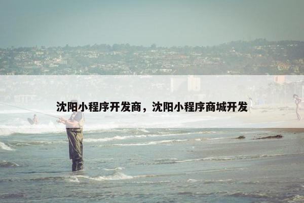 沈阳小程序开发商，沈阳小程序商城开发