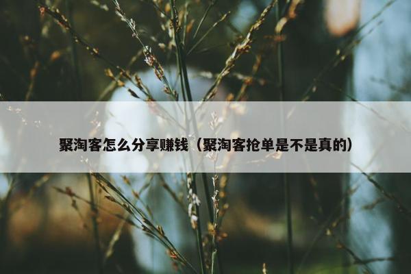 聚淘客怎么分享赚钱（聚淘客抢单是不是真的）