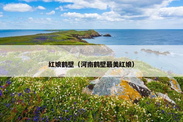 红娘鹤壁（河南鹤壁最美红娘）