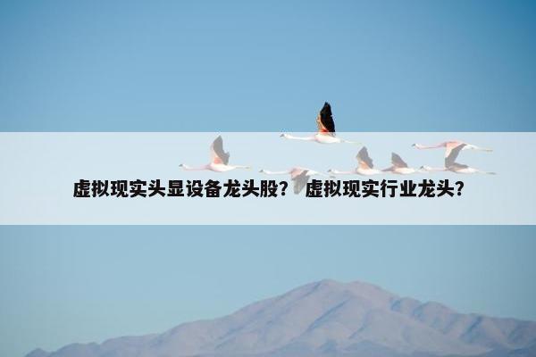 虚拟现实头显设备龙头股？ 虚拟现实行业龙头？