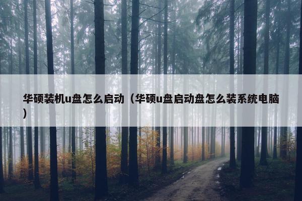 华硕装机u盘怎么启动（华硕u盘启动盘怎么装系统电脑）