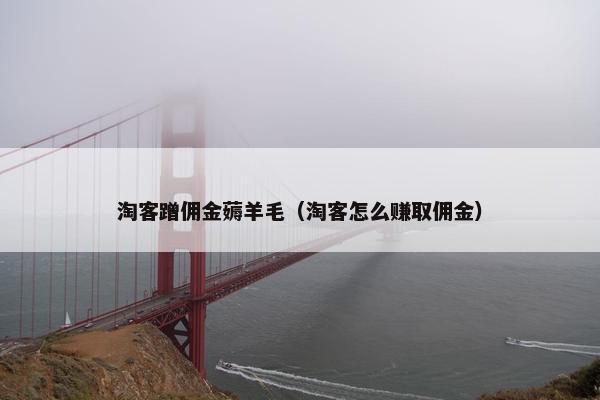 淘客蹭佣金薅羊毛（淘客怎么赚取佣金）