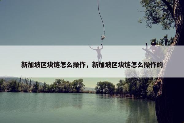 新加坡区块链怎么操作，新加坡区块链怎么操作的