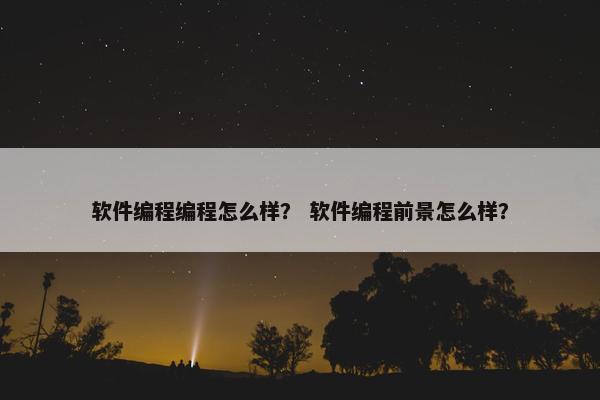 软件编程编程怎么样？ 软件编程前景怎么样？