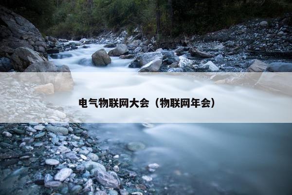 电气物联网大会（物联网年会）
