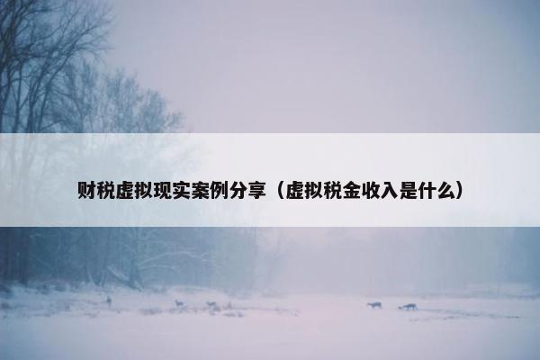 财税虚拟现实案例分享（虚拟税金收入是什么）