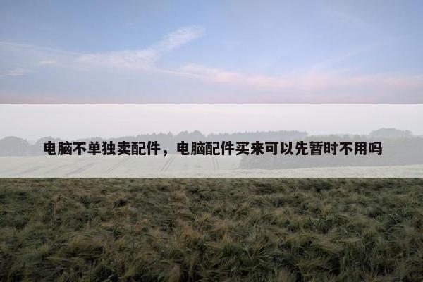 电脑不单独卖配件，电脑配件买来可以先暂时不用吗