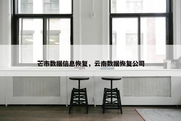 芒市数据信息恢复，云南数据恢复公司