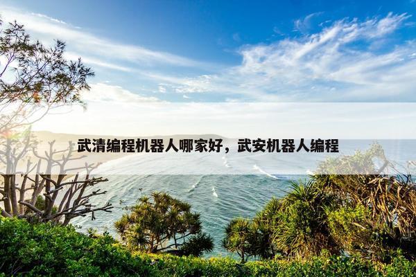 武清编程机器人哪家好，武安机器人编程