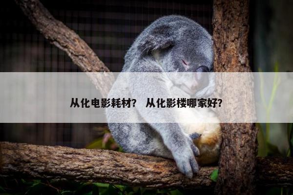 从化电影耗材？ 从化影楼哪家好？
