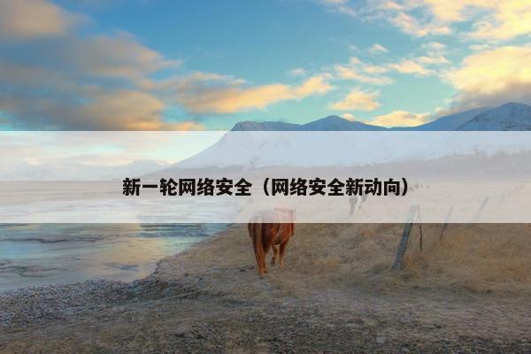 新一轮网络安全（网络安全新动向）