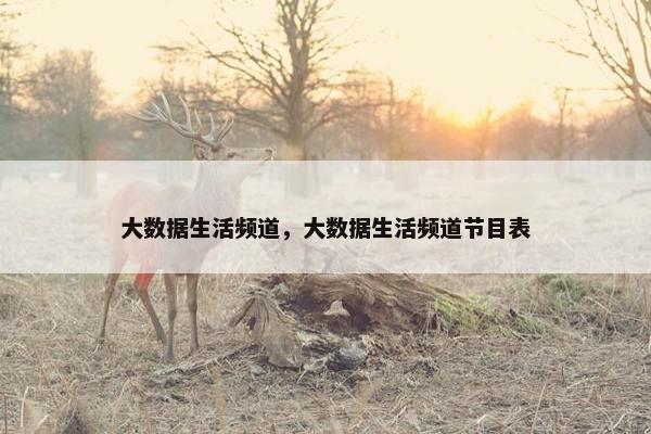 大数据生活频道，大数据生活频道节目表