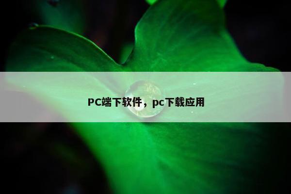 PC端下软件，pc下载应用