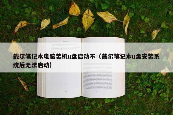 戴尔笔记本电脑装机u盘启动不（戴尔笔记本u盘安装系统后无法启动）