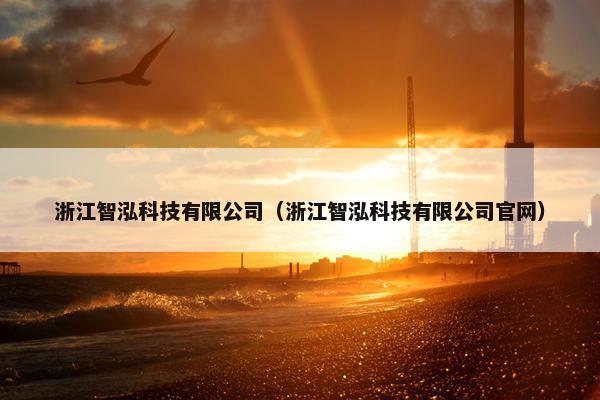 浙江智泓科技有限公司（浙江智泓科技有限公司官网）